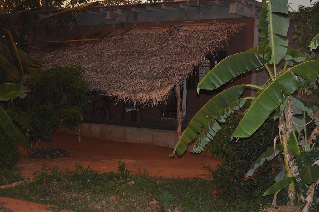 דמבולה Wadiya Tourist Guest House מראה חיצוני תמונה